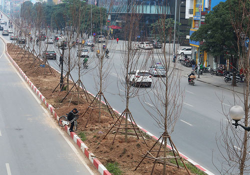 tranh cai viec trong phong la do o duong pho ha noi