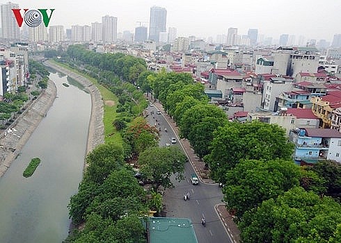 ha noi dang thieu cac loai cay cho hoa vao mua dong