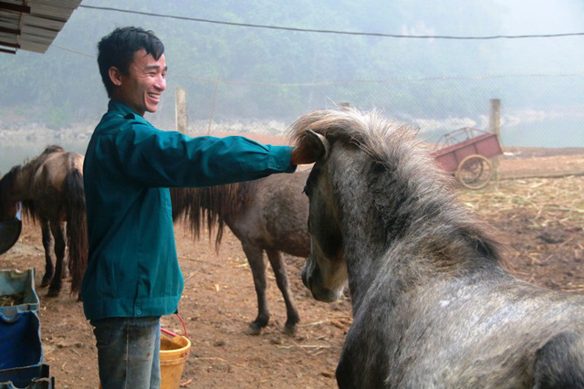 bo pho len rung nuoi huou nai lao nong kiem tien ty moi nam