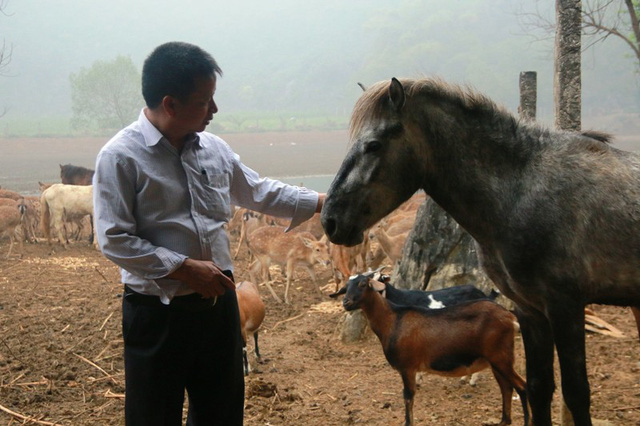 bo pho len rung nuoi huou nai lao nong kiem tien ty moi nam