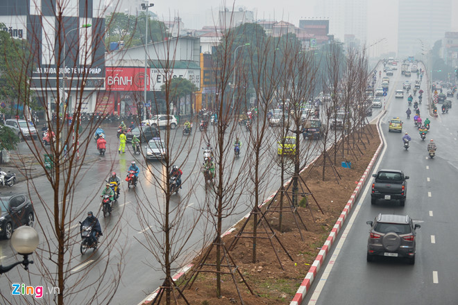 ha noi trong ca tram cay phong la do khi chua thu nghiem