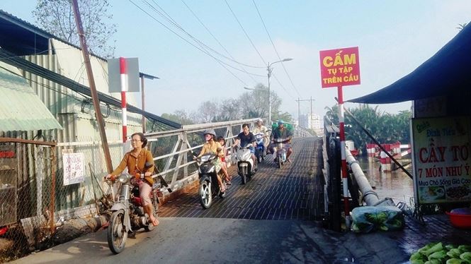 tan thay nhung cay cau cho sap o sai gon