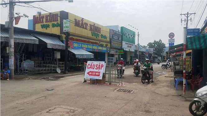 tan thay nhung cay cau cho sap o sai gon