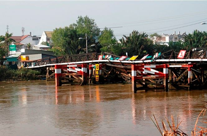 tan thay nhung cay cau cho sap o sai gon
