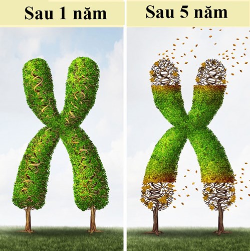 nhung dieu khong tuong se xay ra khi ban ngoi 8 tieng mot ngay
