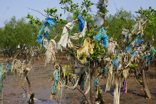 hon 5 km rung phong ho ngap tui nylon