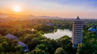 lan dau tien viet nam co dai hoc lot top 1000 the gioi