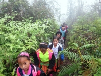 den truong tren cano bien phong