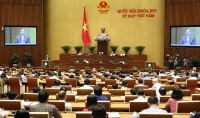 bo tri viec cho sinh vien tot nghiep 4 nganh dai hoc su pham chat luong cao