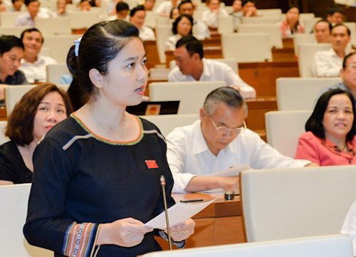 dong cua rung go van ve xuoi
