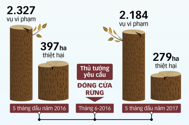 dong cua rung go van ve xuoi
