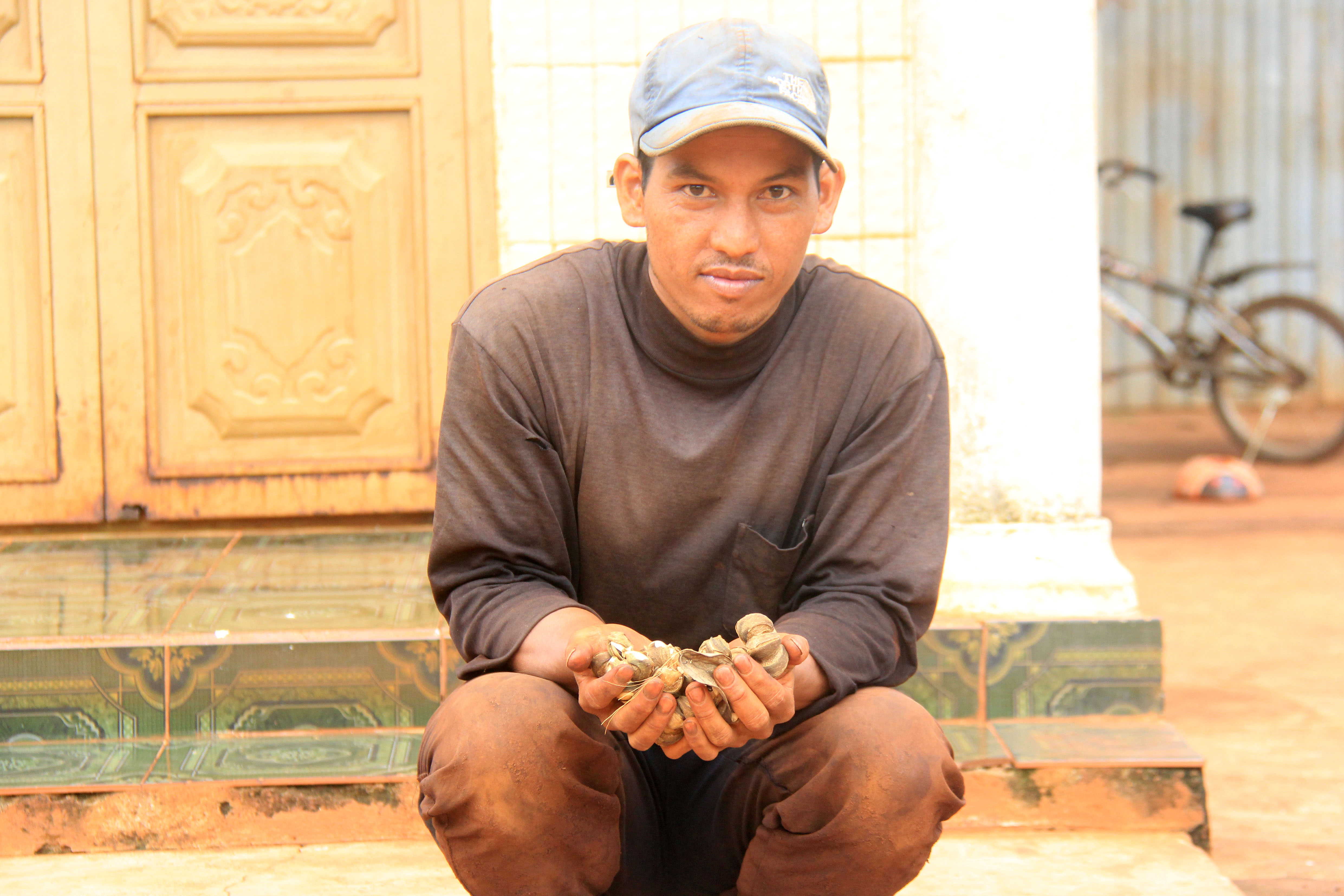 vo mong lam giau tu cay tin don