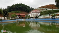 bac thong tin bo nhiem cuc truong cuc hang hai sai quy dinh