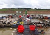 tinh kon tum ra van ban hoa toc tim nguyen nhan ca chet trang ho thuy dien