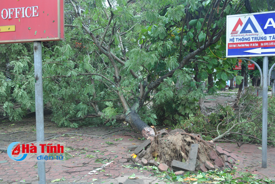 video thanh pho ha tinh ngon ngang sau bao