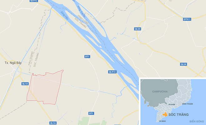 thuc vat la cao 2 m o soc trang la tre nuoc cua dai loan