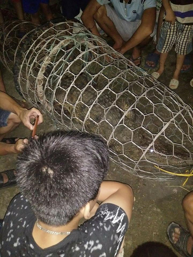 dan bat duoc ca sau 30 kg tren song