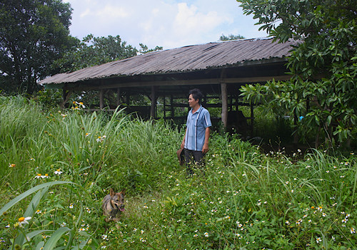 ky nhan mot minh song doc ton tren nui chua chan