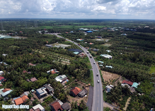 hai cay cau o duong tranh cai lay bien mat bi an