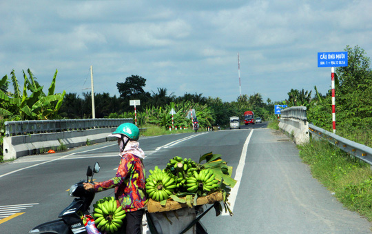 hai cay cau o duong tranh cai lay bien mat bi an