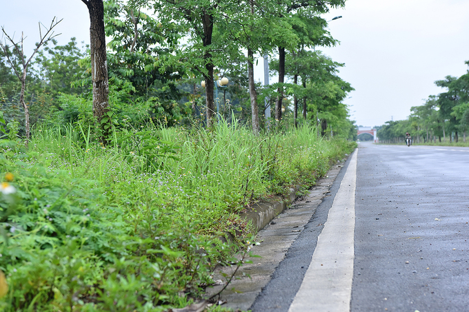 Dự án Đại học Quốc gia Hà Nội 15 năm sau khởi công du an dai hoc quoc gia ha noi 15 nam sau khoi cong