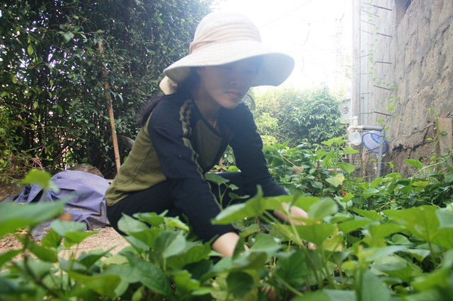 dau nganh bao chi nu sinh nha ngheo bon be noi lo