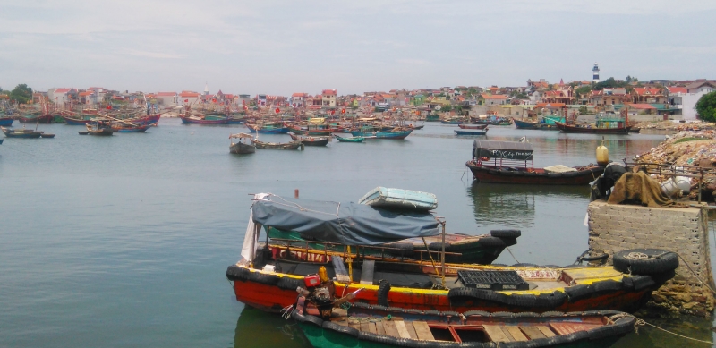 thanh hoa hang chuc tan ca chet bat thuong