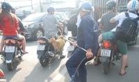 chu nha quyet bao ve cho tha rong khi bi bat