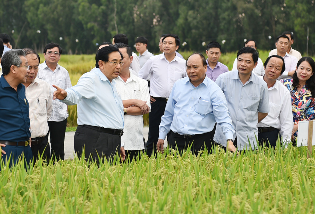 hoi nghi dien hong ban quyet sach cho dong bang song cuu long