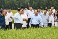 thu tuong lo ngai dbscl phai tra gia dat voi thien thien