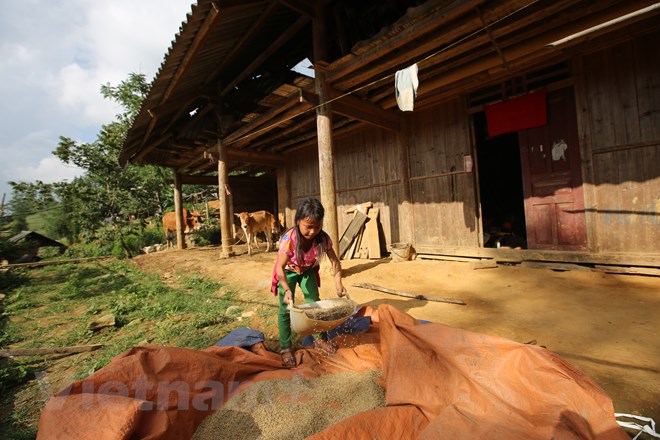 nhung dua tre danh roi ngay khai giang tren nuong cao