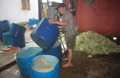 gom rac lam cai bac thao