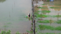 truc tiep tin nong cap nhat tinh hinh mua lu moi nhat