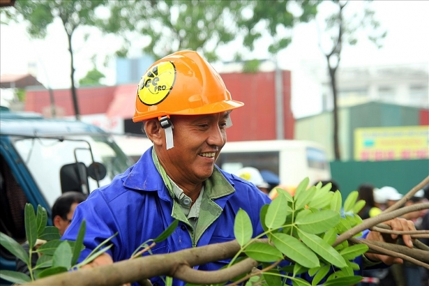 chi phi danh chuyen cay xanh tren duong pham van dong quotngonquot bao nhieu tien