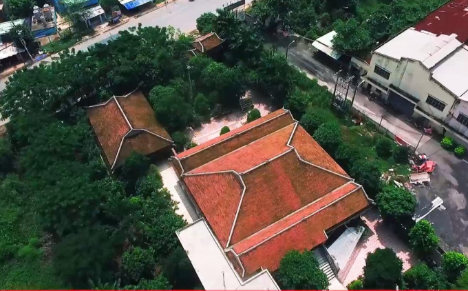 vo ong nguyen phuoc thanh con gai toi lam gi co tien mua cua vo chong toi cho no biet phu