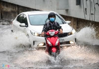 tp hcm mua ngay cang nhieu va lon hon cac nam truoc