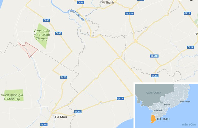nguo i ba n chim thie t ma ng khi ke o le kha u su ng