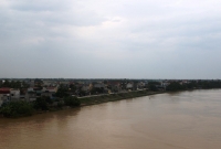 ho hoi tu nuoc ngoai tro ve giao su thanh anh that nghiep