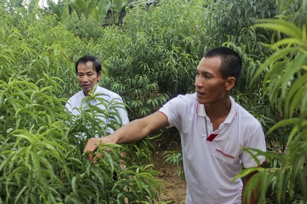 vuot qua noi dau di an co thanh gio 9 nguoi