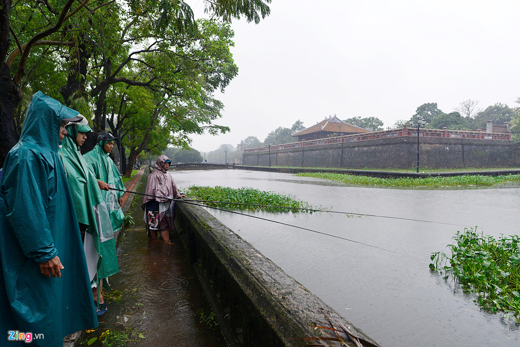 giang luoi cau ca quanh kinh thanh hue sau mua lon
