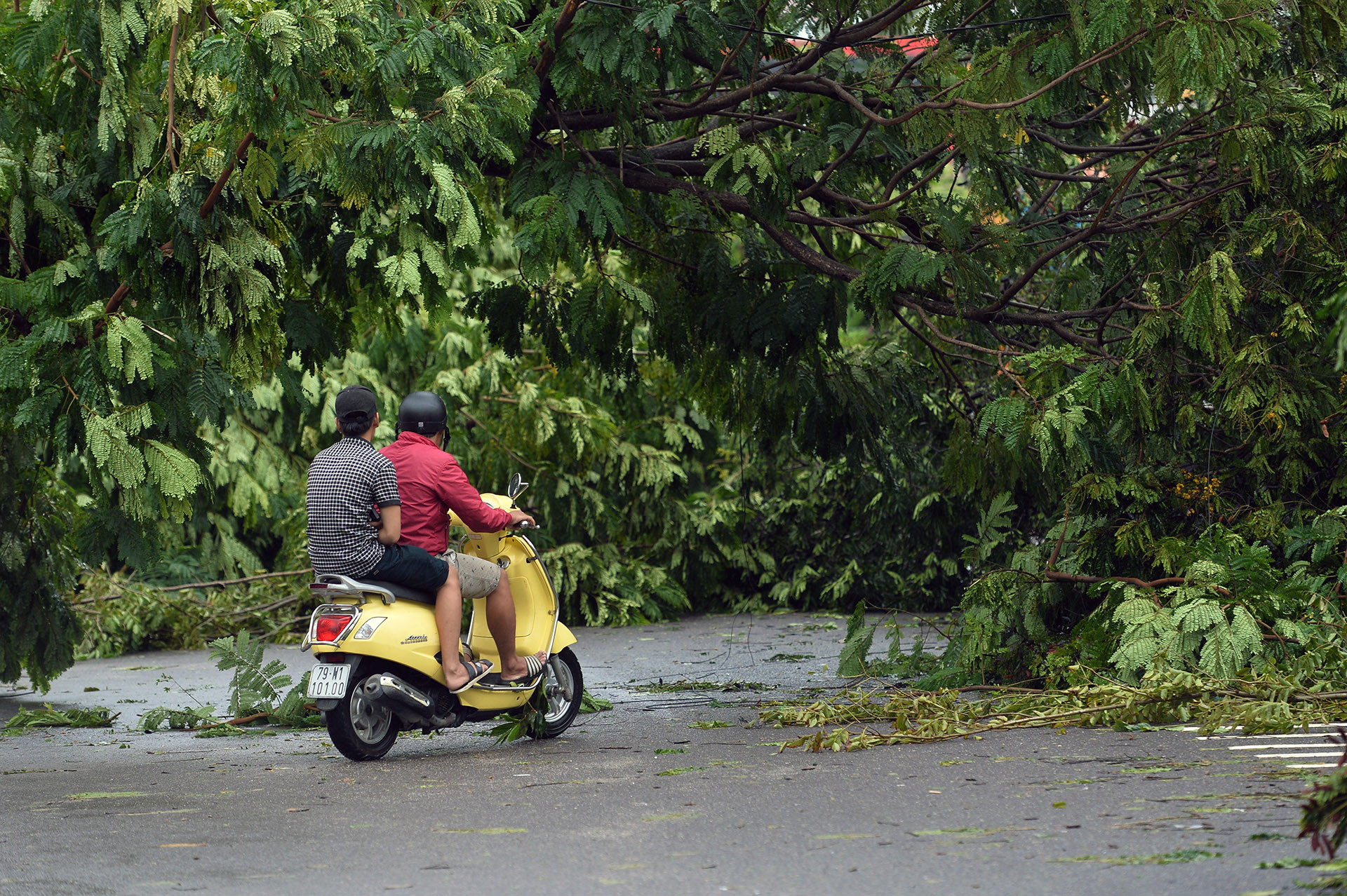 nha trang nhung ngay ngon ngang sau bao lich su