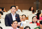 Đại biểu Quốc hội lên tiếng chuyện... đàn ông bị vợ đánh