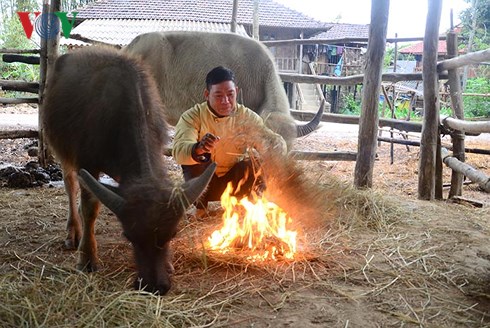 nhiet do xuong thap dien bien gap rut chong ret cho gia suc