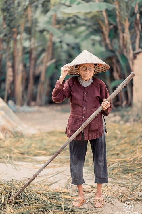 bo anh cuc hoa mi phien ban ba ngoai khien nguoi ta phai mim cuoi ngay lap tuc