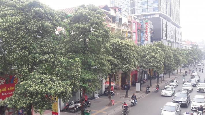 ha noi hoa sua nong nan bat thuong nguoi dan keu kho so