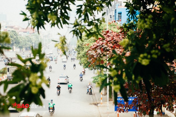 neu khong muon mui hac am anh ca ngay hoi nhung nguoi cam thu hoa sua cho dai di qua cac con duong nay