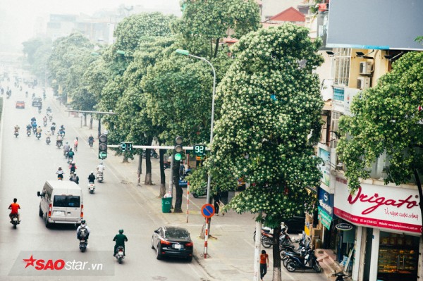 neu khong muon mui hac am anh ca ngay hoi nhung nguoi cam thu hoa sua cho dai di qua cac con duong nay