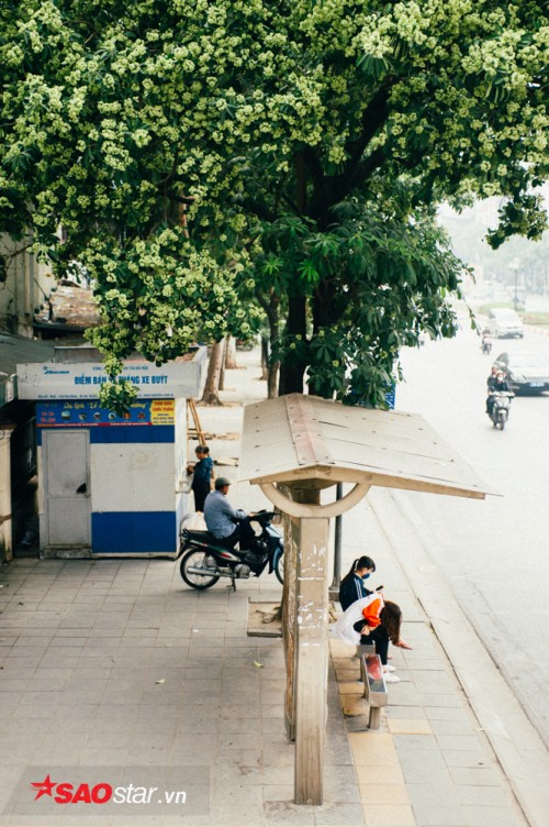 neu khong muon mui hac am anh ca ngay hoi nhung nguoi cam thu hoa sua cho dai di qua cac con duong nay
