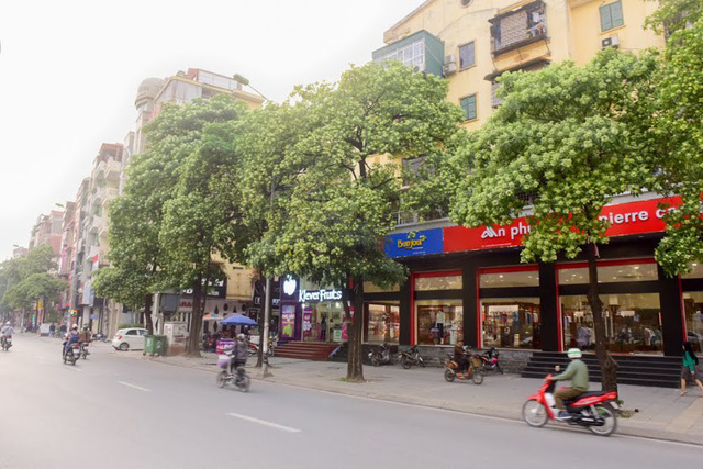 nguoi dan thu do than troi vi mui hoa sua nong nac khap pho