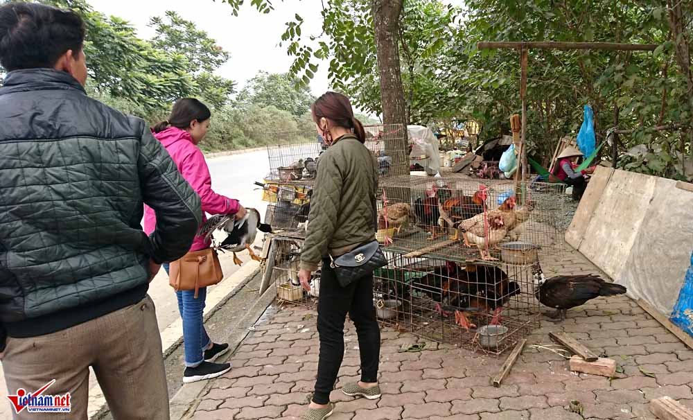 cat tiet ga vat long chim ben dai lo hien dai nhat viet nam